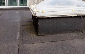 disadvantages of Colden Common flat roofs