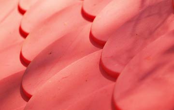 Colden Common plastic roof costs